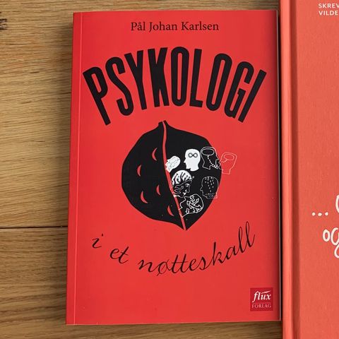 Psykologi i et nøtteskall av Pål Johan Karlsen