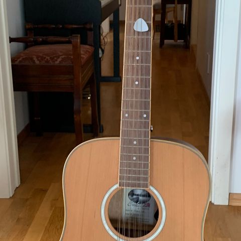 Tanglewood 12-strengers gitar med utstyr selges