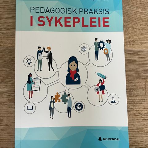 Pedagogisk praksis i sykepleie