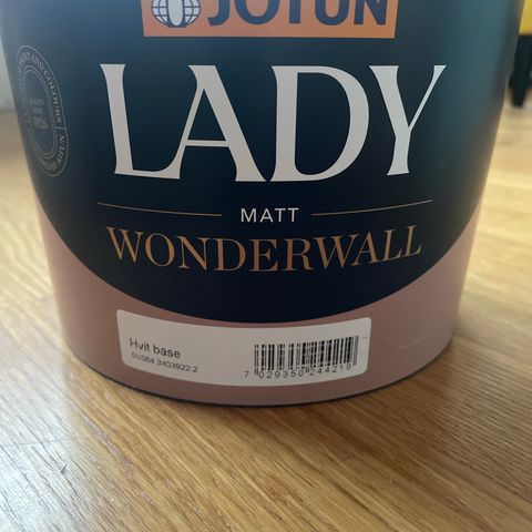 Lady Wonderwall