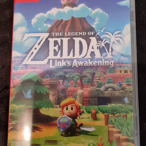 Legend of Zelda Link's Awakening Nintendo Switch