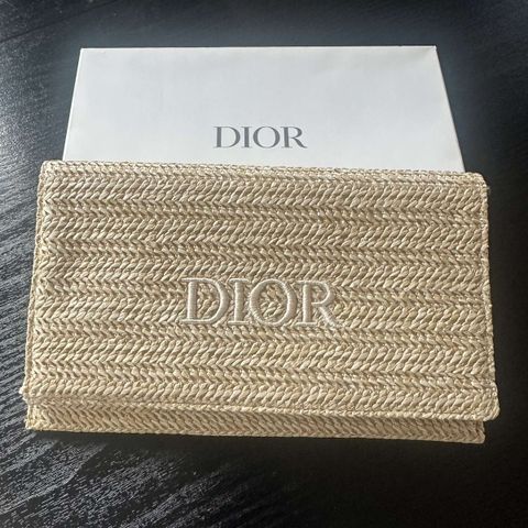 DIOR clutch pouch 2024