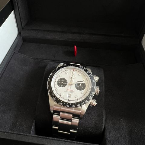 Tudor Chrono Panda