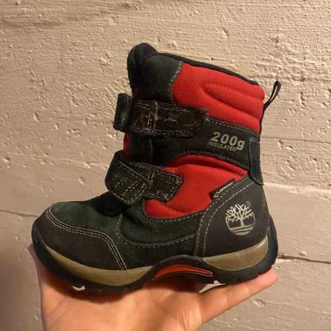 Vintersko timberland