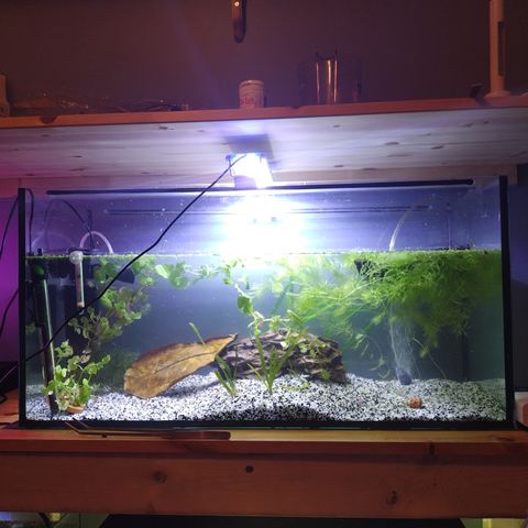 Komplett akvarium 95 liter