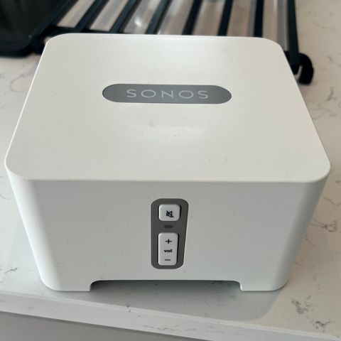 Sonos connect amp.