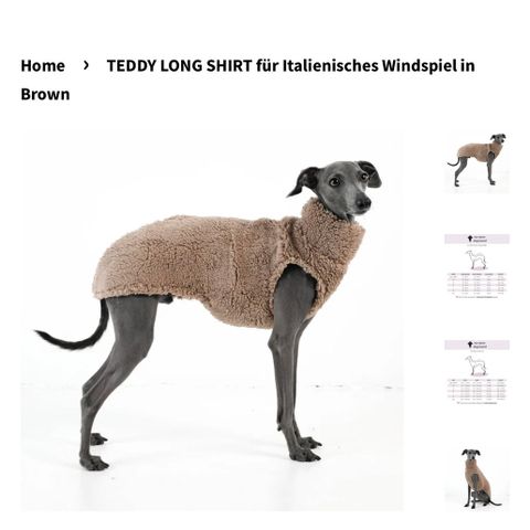 Teddy-fleece genser til hund - ny