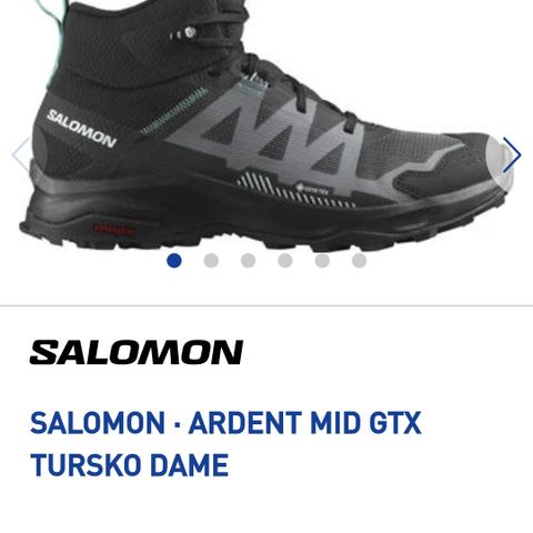 Salomon ardent mid gtx 41 1/3