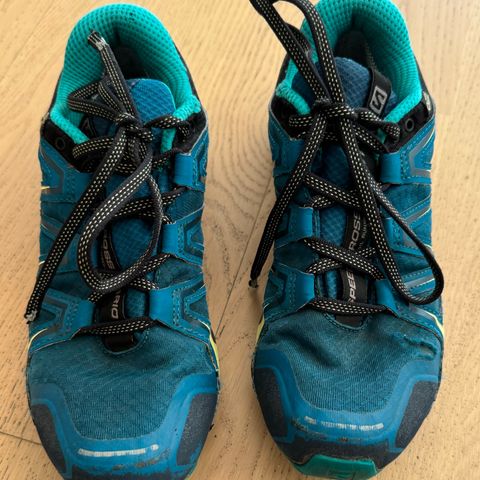 Salomon Goretex sko str. 37,5