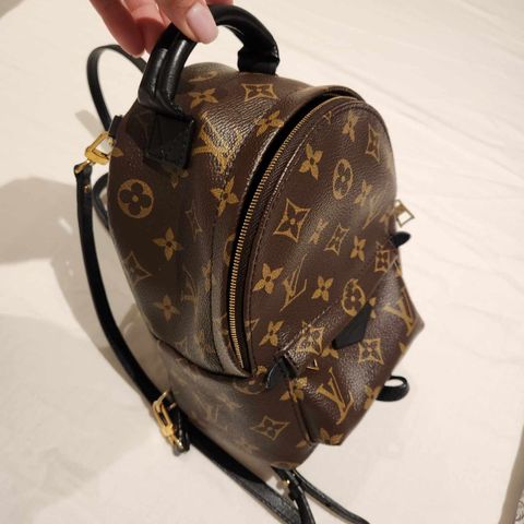 Louis Vuitton Palm spring mini