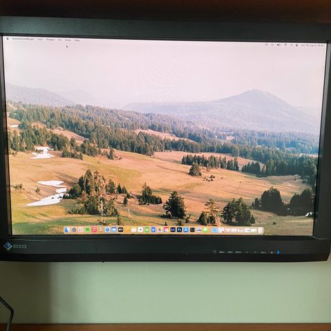 Eizo CG247