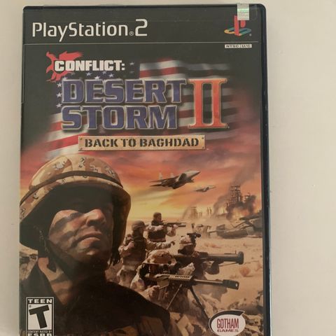 Ps2 CONFLICT: DESERT STORM 2 BACK TO BAGHDAD