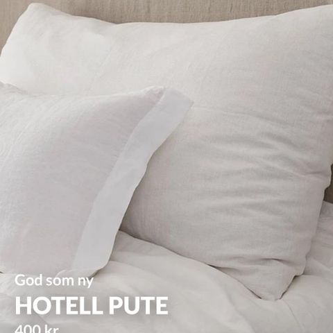 Hotell pute