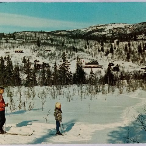 Holu Feriehjem, Ål, Hallingdal