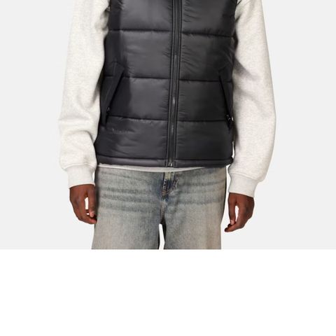 The North face vest