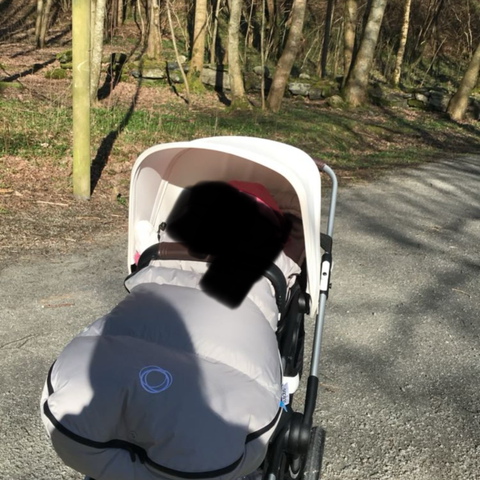 Bugaboo fox 2