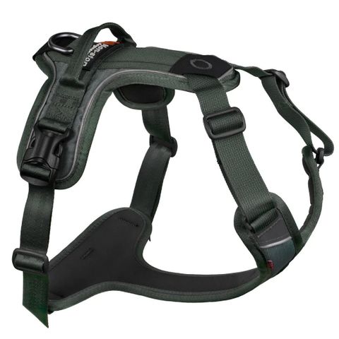 Non-stop Ramble Harness