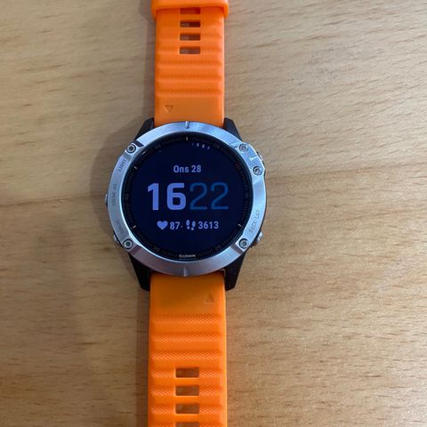 Garmin fenix 6