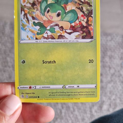 Pokemon  kort