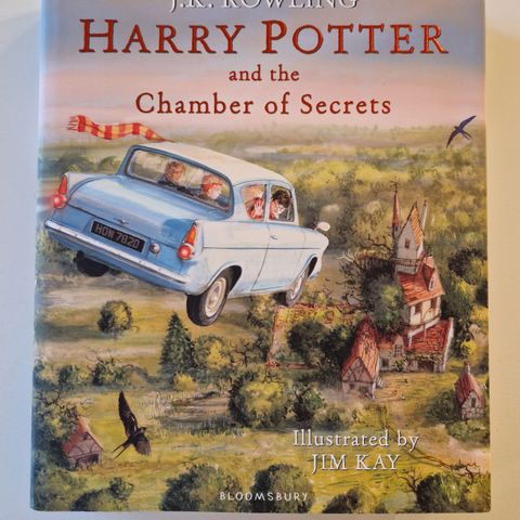 Harry Potter and the chamber of secrets illustrated