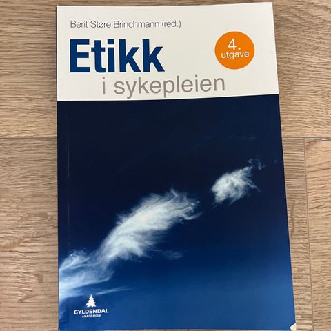 Etikk i sykepleien