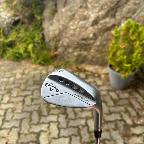 Callaway Jaws Raw 48°