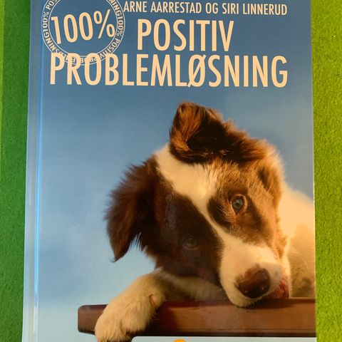 Arne Aarrestad og Siri Linnerud - 100 % positiv problemløsning (2011)