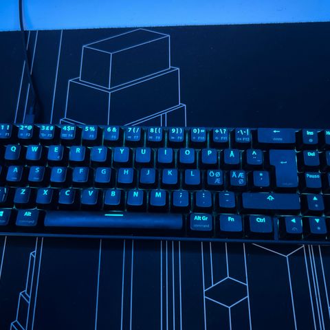 Gaming Tastatur Selges