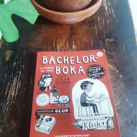 Bacheleor - boka