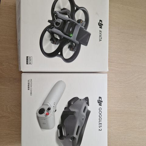 DJI Avata Pro-view Combo Dji Goggles 2