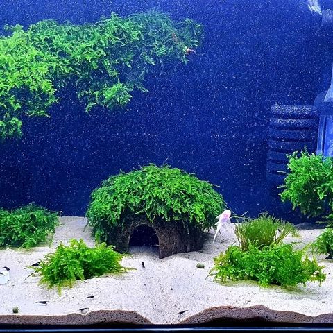 Akvarium 60 x 30 x 30