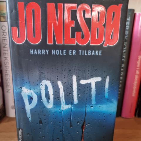 Harry Hole - Politi