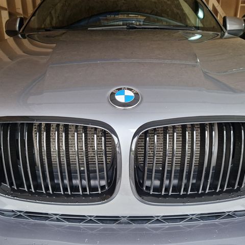 BMW X5 E70 grill