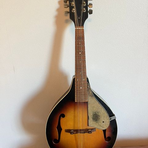 Ibanez mandolin