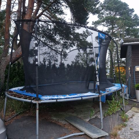 Trampoline