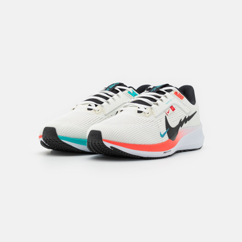 Nike zoom pegasus 40