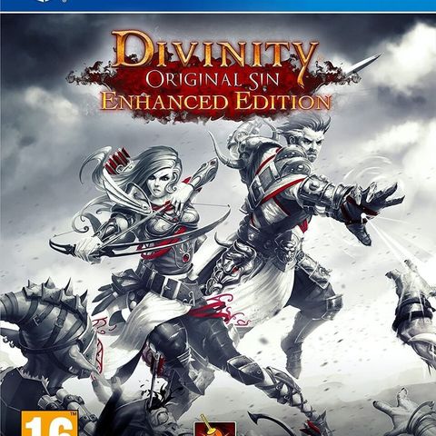 Divinity original sin ps4