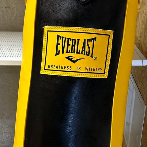 Everlast slagsekk / boksesekk