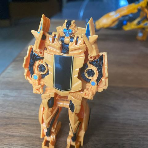 Bumblebee transformer