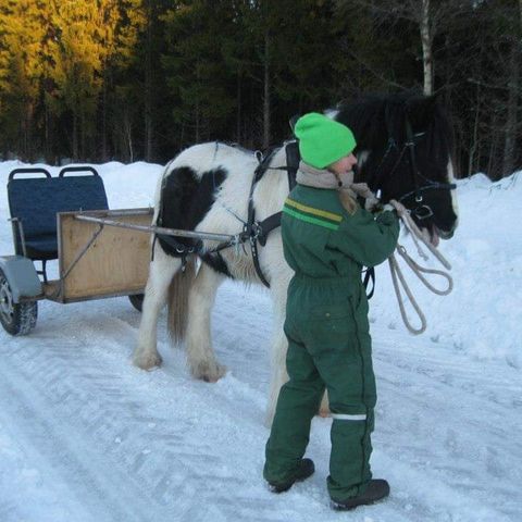 Rockart til arbeidsele