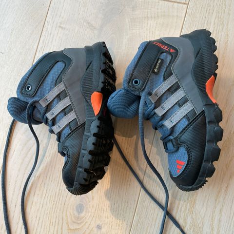 Adidas tursko Adidas Terrex Mid GORE-TEX Hiking