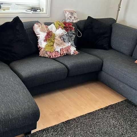 Sofa  sort