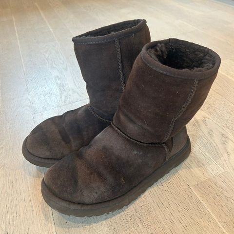 Uggs str. 39