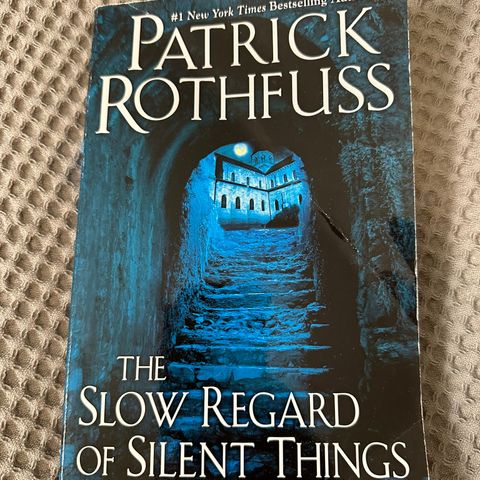 The Slow Regard of Silent Things av Patrick Rothfuss (engelsk)