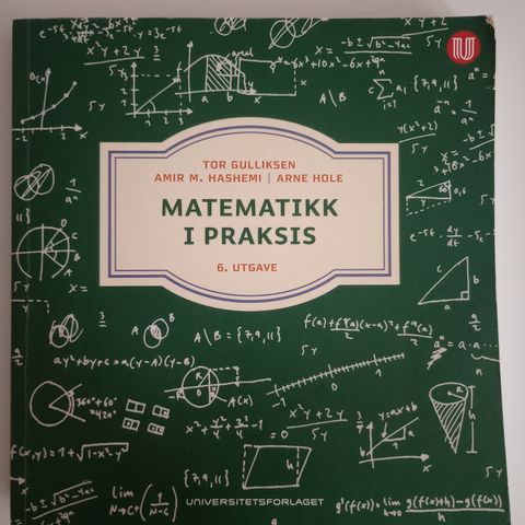 Matematikk i praksis, T. Gulliksen, A. M. Hashemi, A. Hole