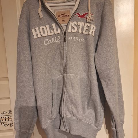 Hollister hettegenser