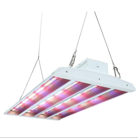 Led vekstlys 160w