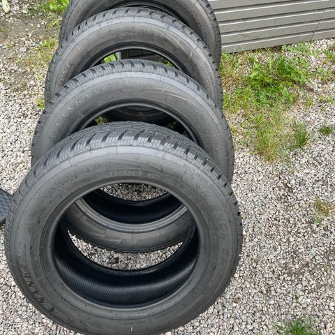 Vinterdekk 195/65 R15