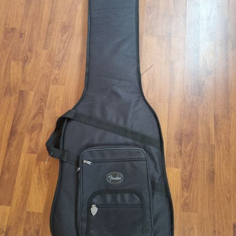 Elgitar bag