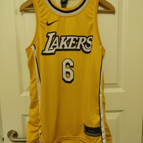 LeBron James Los Angeles Lakers #6 NBA Basketball Small